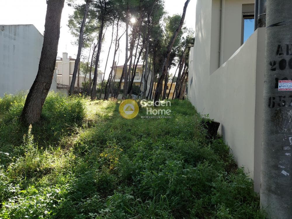 Building Plot in Fasideri, Anoixi — Photo 1 of 7
