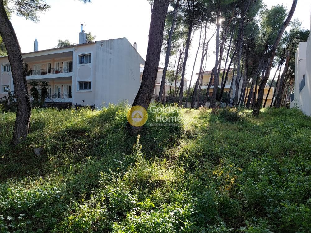 Building Plot in Fasideri, Anoixi — Photo 2 of 7