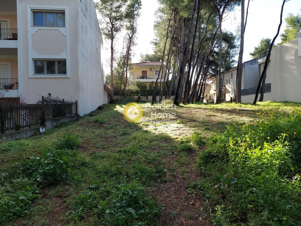 Building Plot in Fasideri, Anoixi — Photo 3 of 7