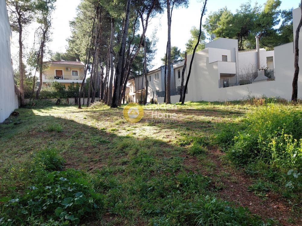 Building Plot in Fasideri, Anoixi — Photo 5 of 7