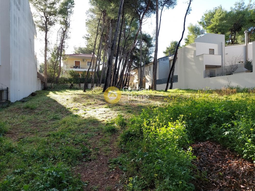 Building Plot in Fasideri, Anoixi — Photo 6 of 7