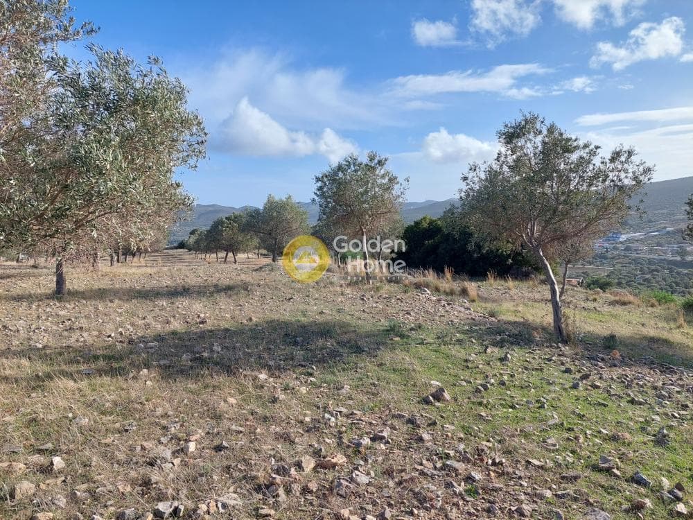 Οικόπεδο στην Βένιο Δασκαλειού, Κερατέα — Φωτογραφία 7 από 14