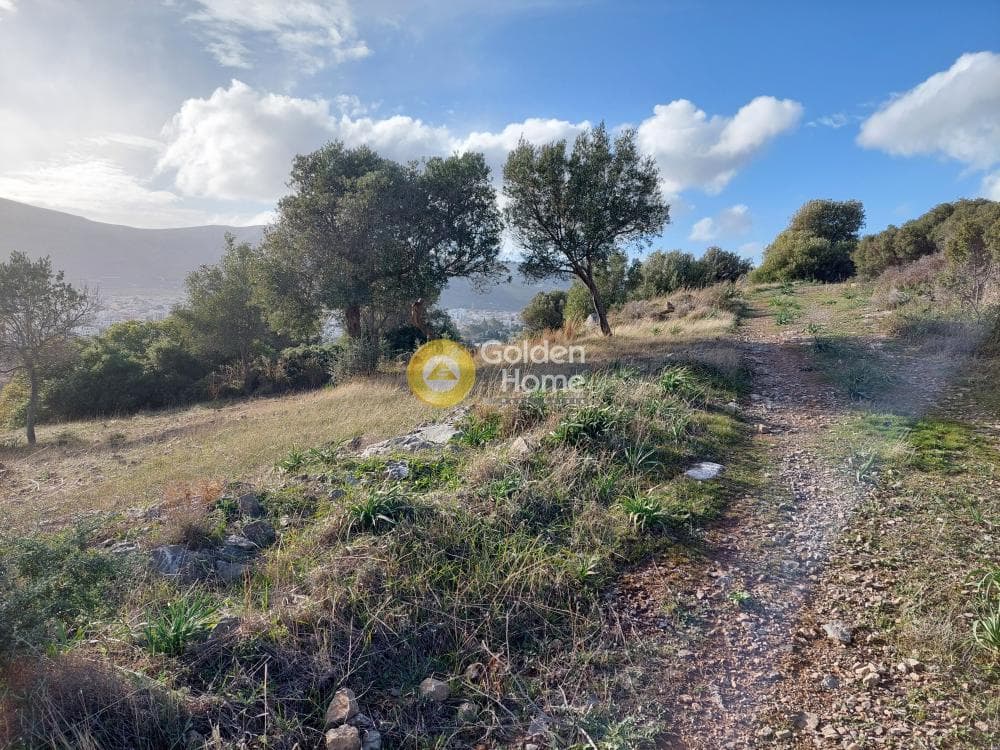 Οικόπεδο στην Βένιο Δασκαλειού, Κερατέα — Φωτογραφία 9 από 14