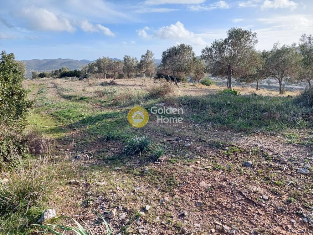 Οικόπεδο στην Βένιο Δασκαλειού, Κερατέα — Φωτογραφία 2 από 14