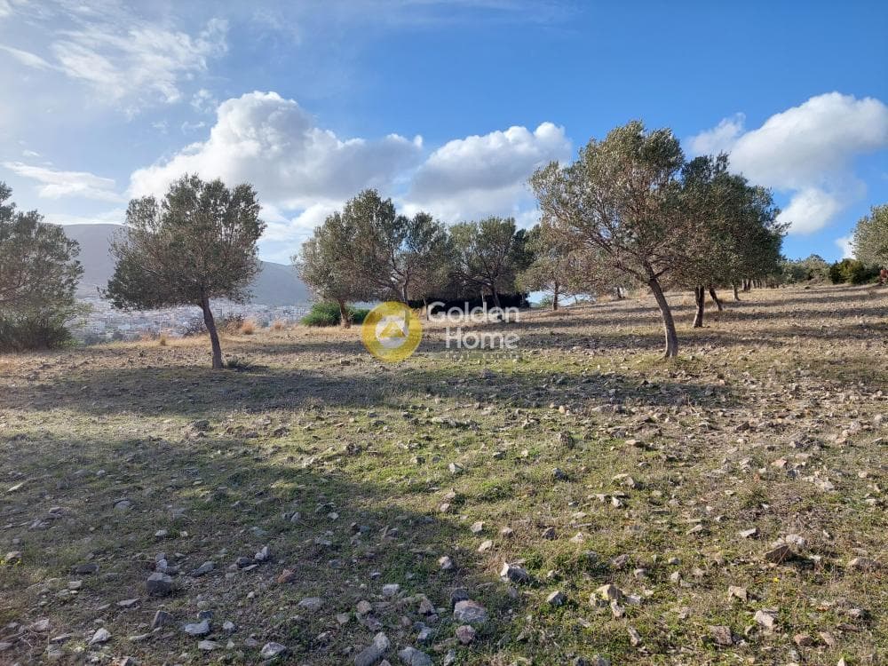 Οικόπεδο στην Βένιο Δασκαλειού, Κερατέα — Φωτογραφία 10 από 14