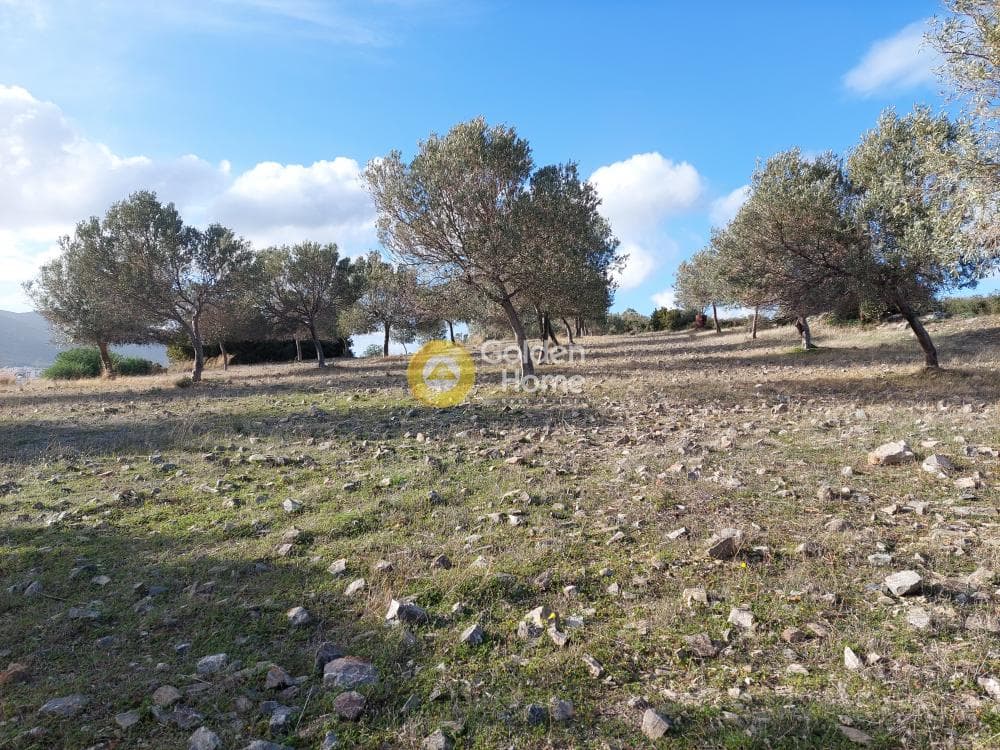 Οικόπεδο στην Βένιο Δασκαλειού, Κερατέα — Φωτογραφία 13 από 14