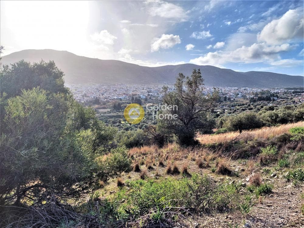 Οικόπεδο στην Βένιο Δασκαλειού, Κερατέα — Φωτογραφία 3 από 14