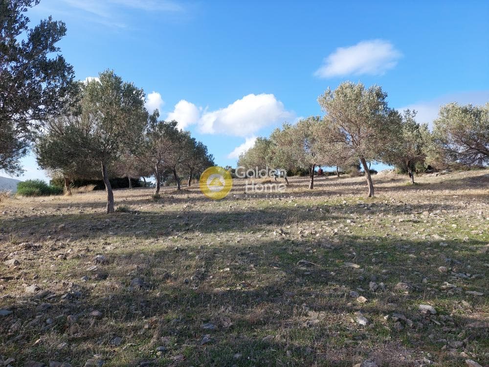 Οικόπεδο στην Βένιο Δασκαλειού, Κερατέα — Φωτογραφία 14 από 14