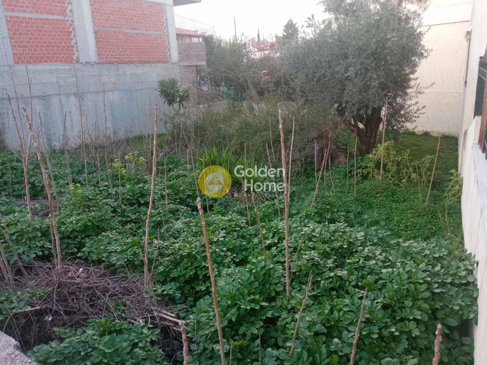 Building Plot in Mpalana, Gerakas — Photo 2 of 4