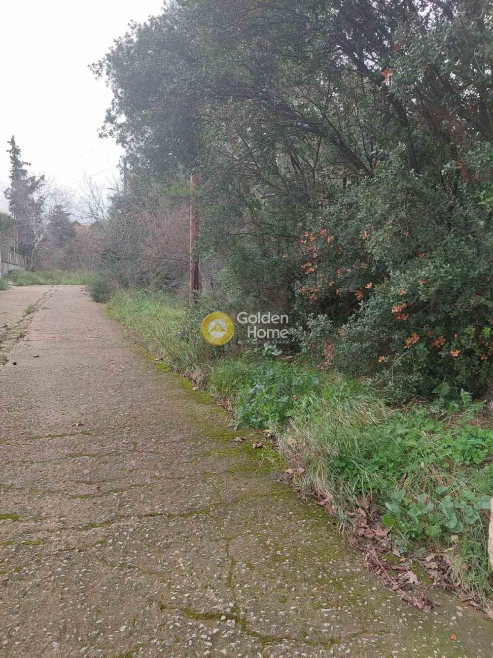 Οικόπεδο στην Πάτημα, Χαλάνδρι — Φωτογραφία 3 από 9