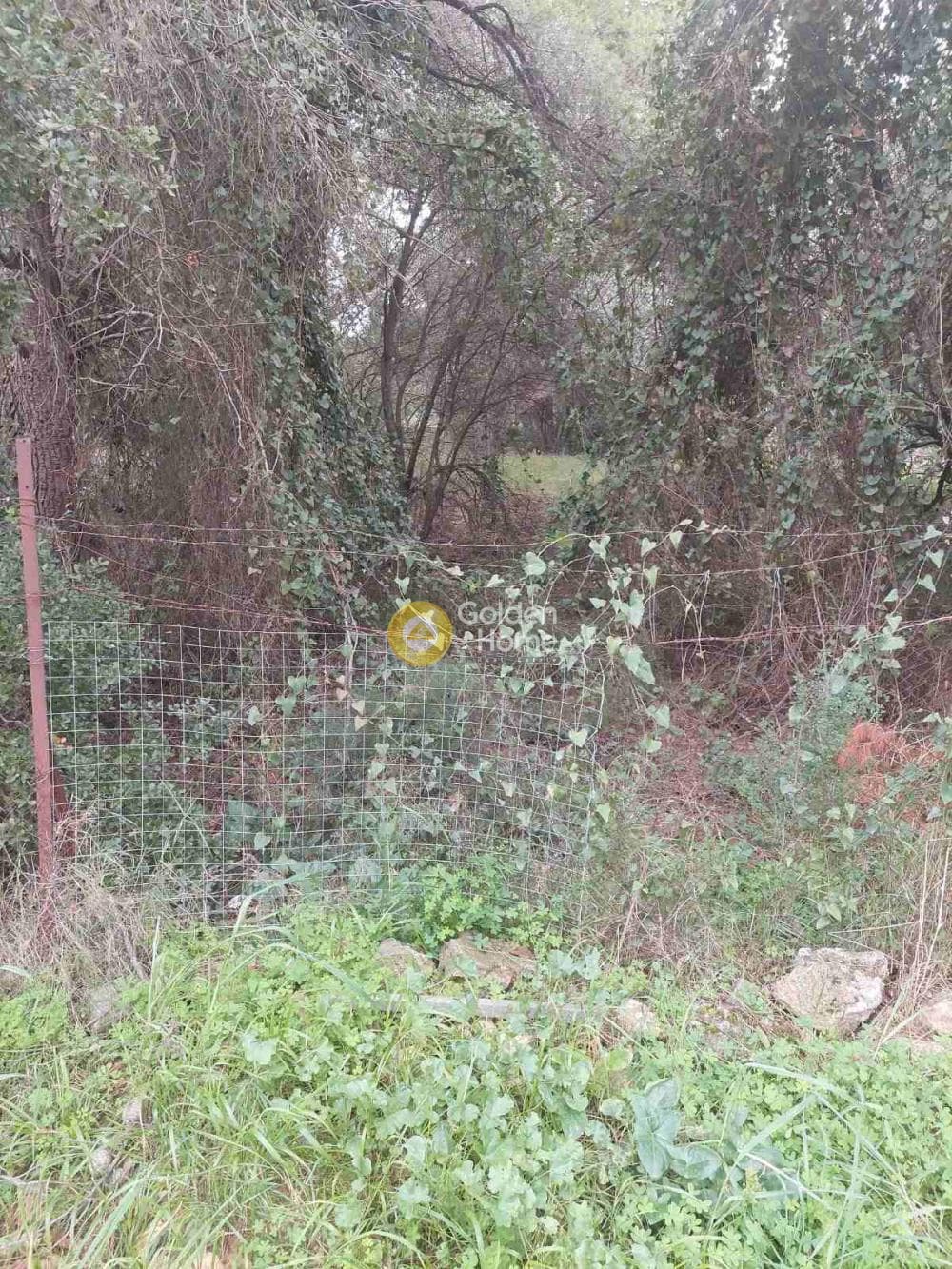 Οικόπεδο στην Πάτημα, Χαλάνδρι — Φωτογραφία 5 από 9