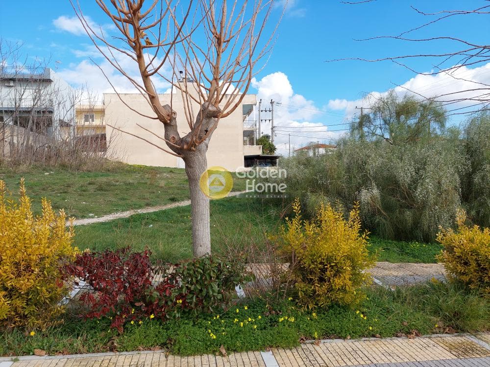 Building Plot in Neapoli, Spata — Photo 2 of 7