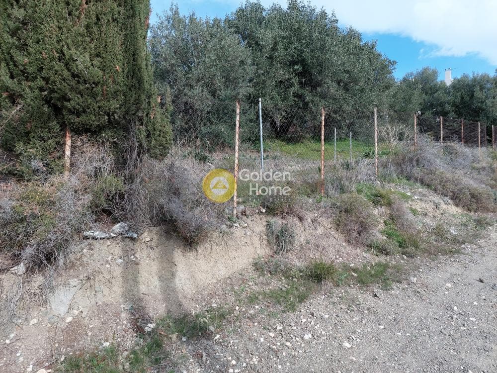 Building Plot in Attalos, Kamatero — Photo 4 of 17