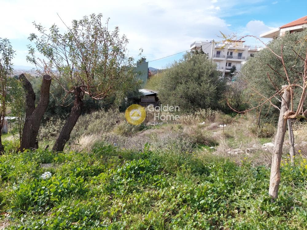 Building Plot in Attalos, Kamatero — Photo 5 of 17