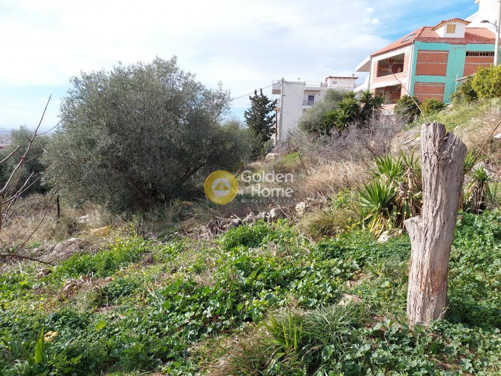 Building Plot in Attalos, Kamatero — Photo 9 of 17