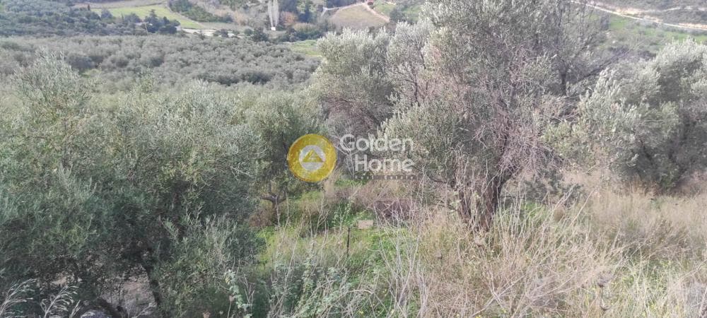Building Plot in Agios Georgios o Methistis, Gazi — Photo 5 of 5