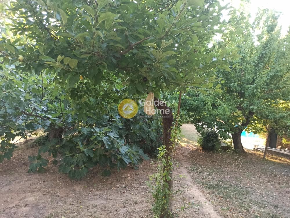 Μονοκατοικία στην Κέντρο, Πεντέλη — Φωτογραφία 26 από 39