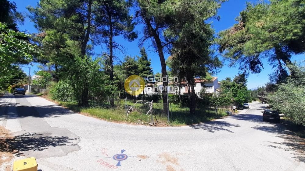 Parcel in Rodopoli, Rodopoli — Photo 3 of 6