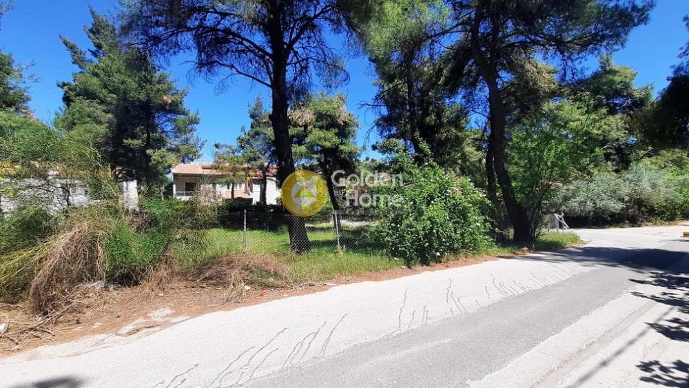 Parcel in Rodopoli, Rodopoli — Photo 1 of 6