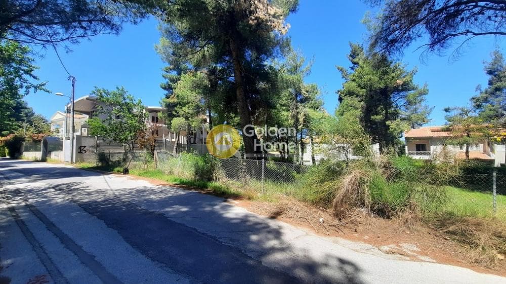 Parcel in Rodopoli, Rodopoli — Photo 2 of 6