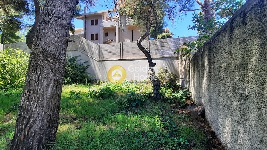 Parcel in Rodopoli, Rodopoli — Photo 6 of 6