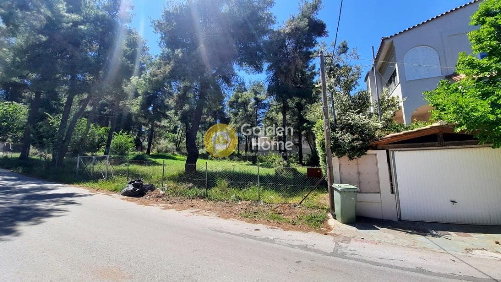 Parcel in Rodopoli, Rodopoli — Photo 4 of 6