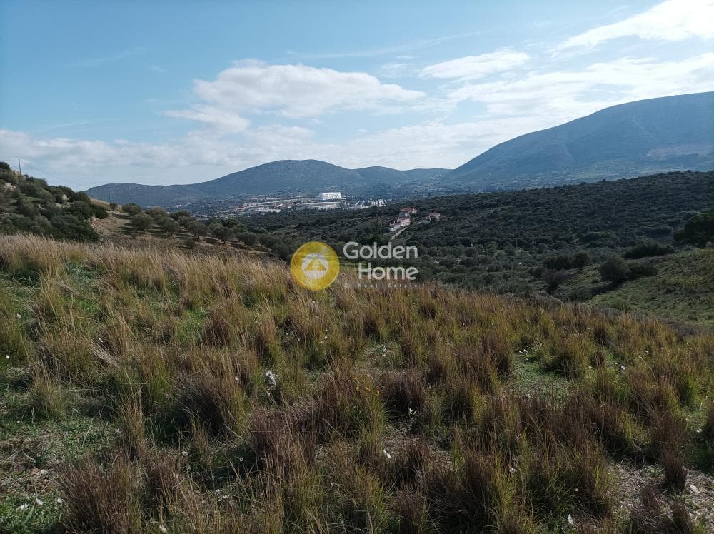 Parcel in Agia Triada, Markopoulo — Photo 2 of 3