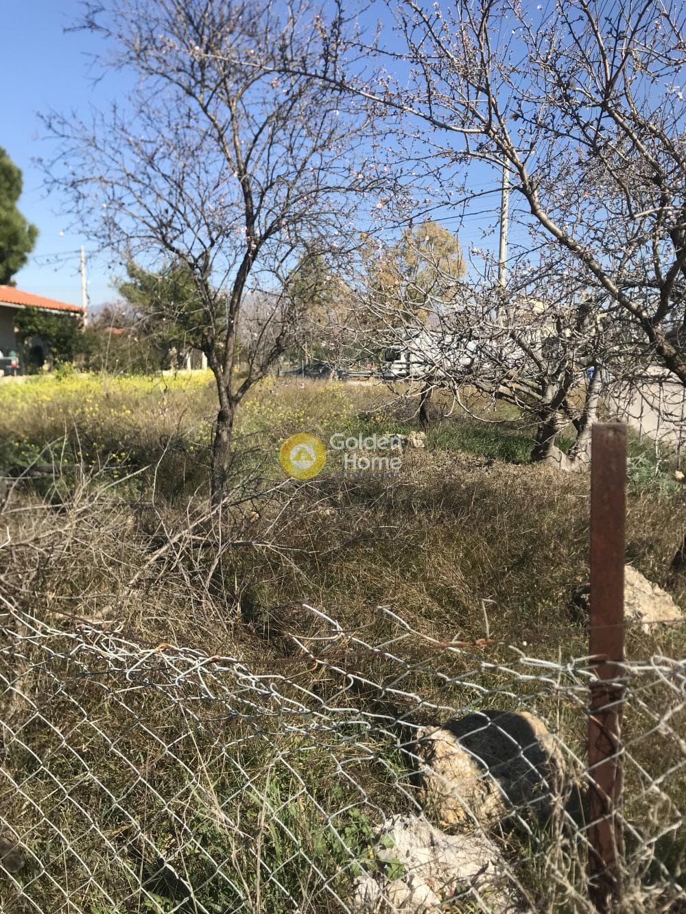 Αγροτεμάχιο στην Αγία Μαρίνα, Παιανία — Φωτογραφία 2 από 8