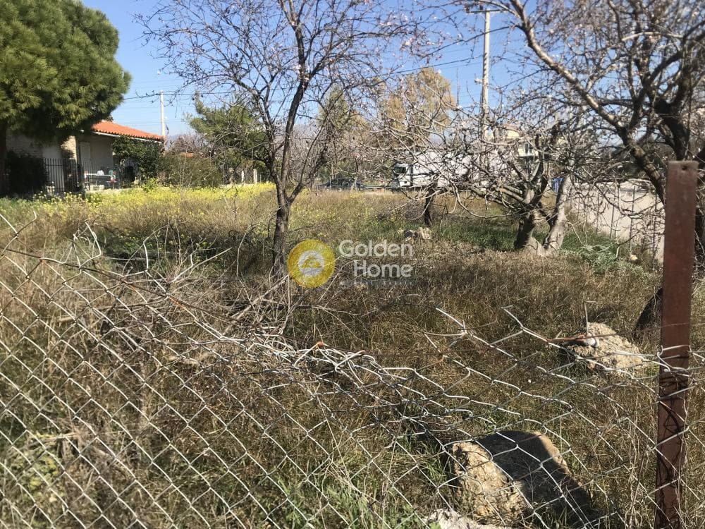 Αγροτεμάχιο στην Αγία Μαρίνα, Παιανία — Φωτογραφία 4 από 8