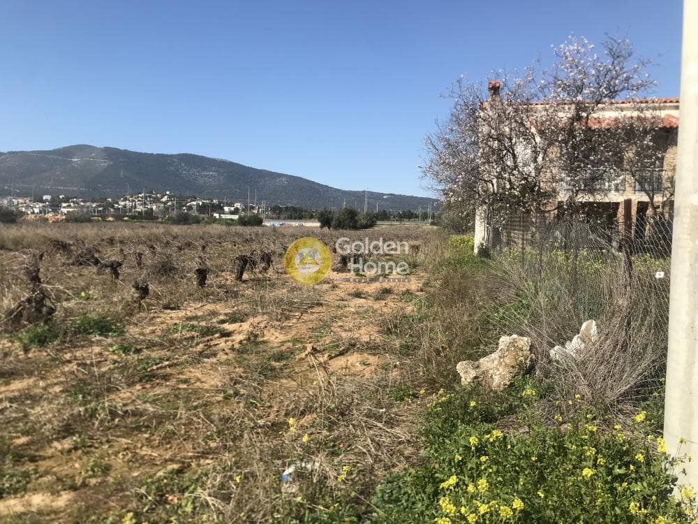 Αγροτεμάχιο στην Αγία Μαρίνα, Παιανία — Φωτογραφία 5 από 8