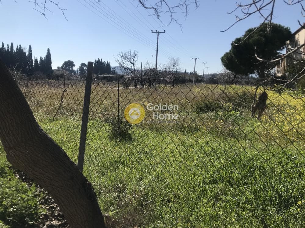 Αγροτεμάχιο στην Αγία Μαρίνα, Παιανία — Φωτογραφία 7 από 8