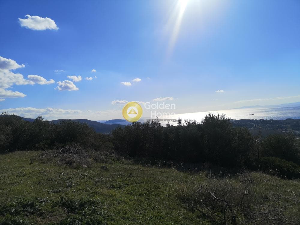 Αγροτεμάχιο στην Καλύβια, Καλύβια Θορικού — Φωτογραφία 2 από 7
