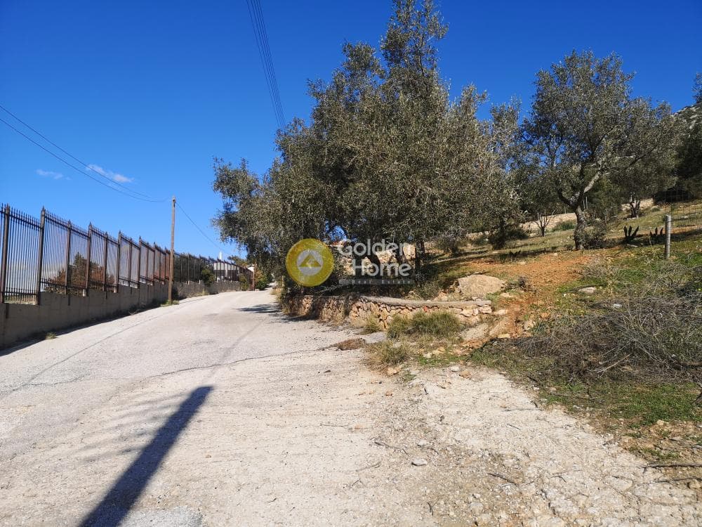 Αγροτεμάχιο στην Καλύβια, Καλύβια Θορικού — Φωτογραφία 5 από 7