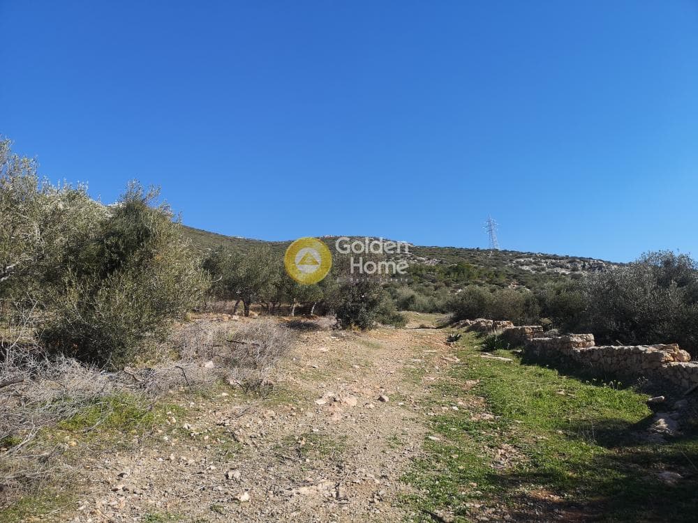 Αγροτεμάχιο στην Καλύβια, Καλύβια Θορικού — Φωτογραφία 6 από 7