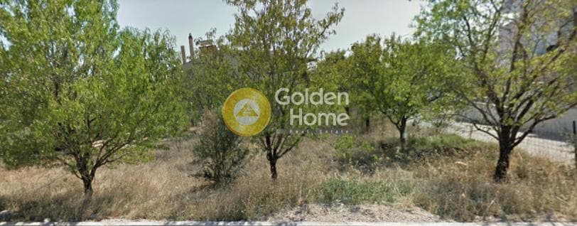 Οικόπεδο στην Μεγάλα Σχοινία Α, Αχαρνές — Φωτογραφία 4 από 4