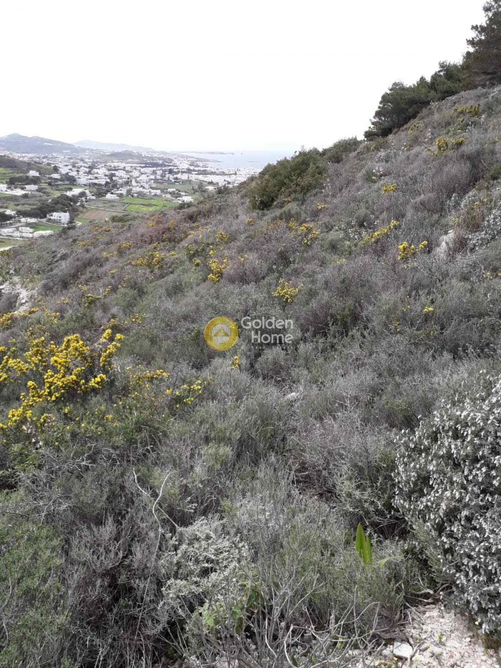 Parcel in Elitas, Paros — Photo 1 of 2