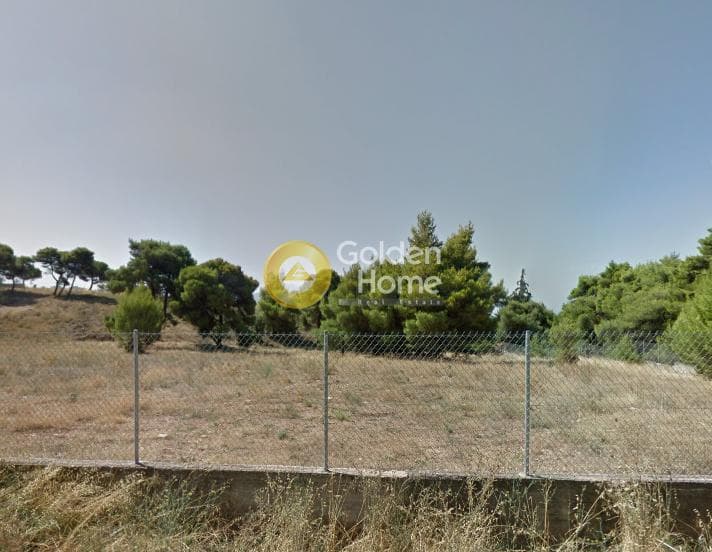 Αγροτεμάχιο στην Ζηρίνειο, Κηφισιά — Φωτογραφία 1 από 2