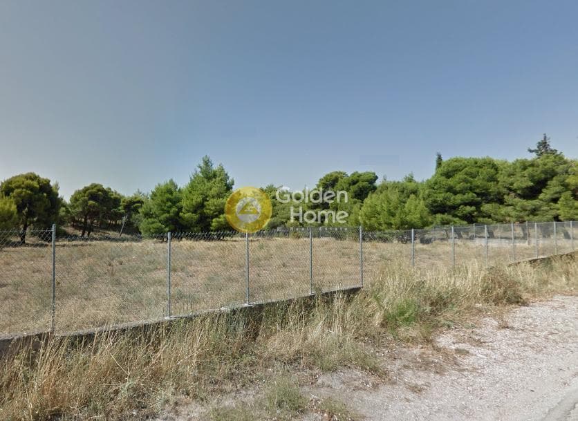 Αγροτεμάχιο στην Ζηρίνειο, Κηφισιά — Φωτογραφία 2 από 2