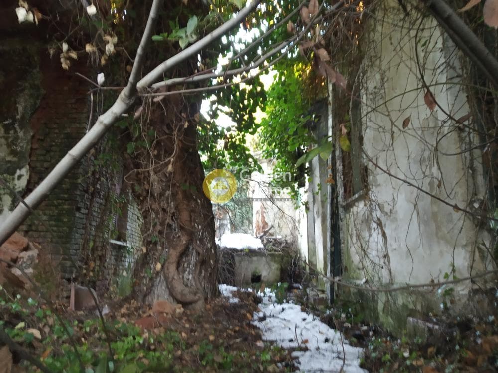 Οικόπεδο στην Αγιά Παρασκευή, Άγιος Στέφανος — Φωτογραφία 2 από 2