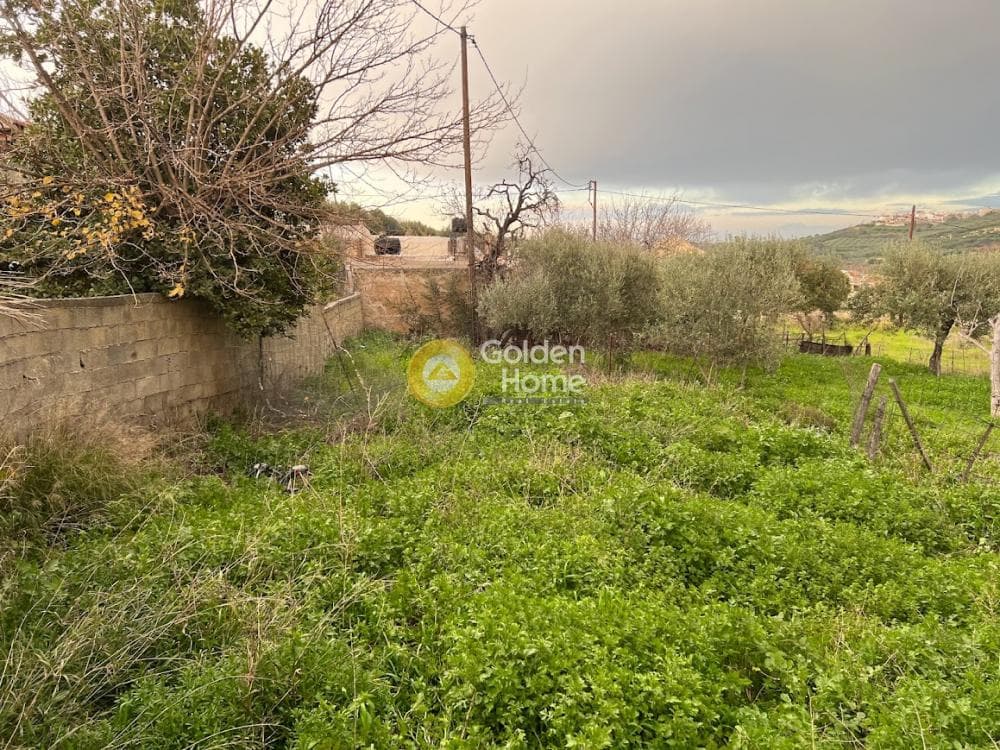 Οικόπεδο στην Πενταμόδι, Τετραχώρι