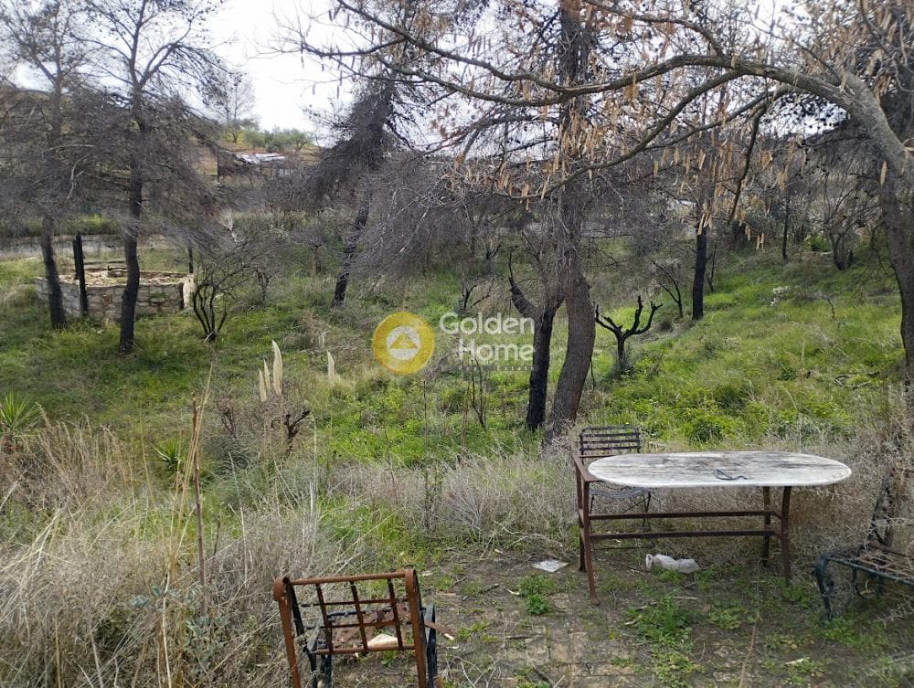 Αγροτεμάχιο στην Κέντρο, Άγιος Στέφανος — Φωτογραφία 1 από 7