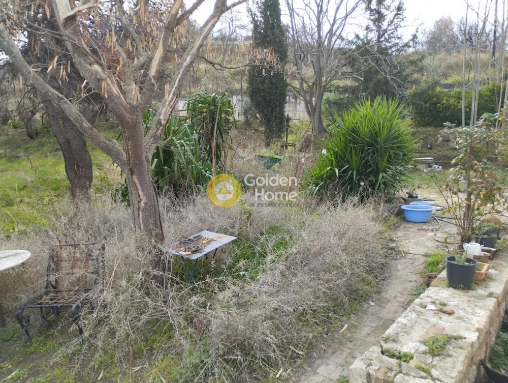 Αγροτεμάχιο στην Κέντρο, Άγιος Στέφανος — Φωτογραφία 2 από 7