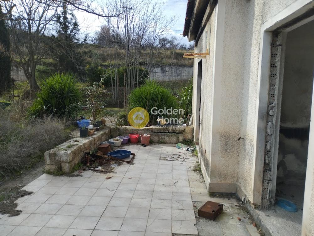 Αγροτεμάχιο στην Κέντρο, Άγιος Στέφανος — Φωτογραφία 5 από 7