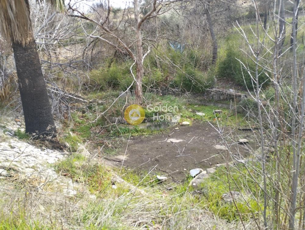 Αγροτεμάχιο στην Κέντρο, Άγιος Στέφανος — Φωτογραφία 6 από 7