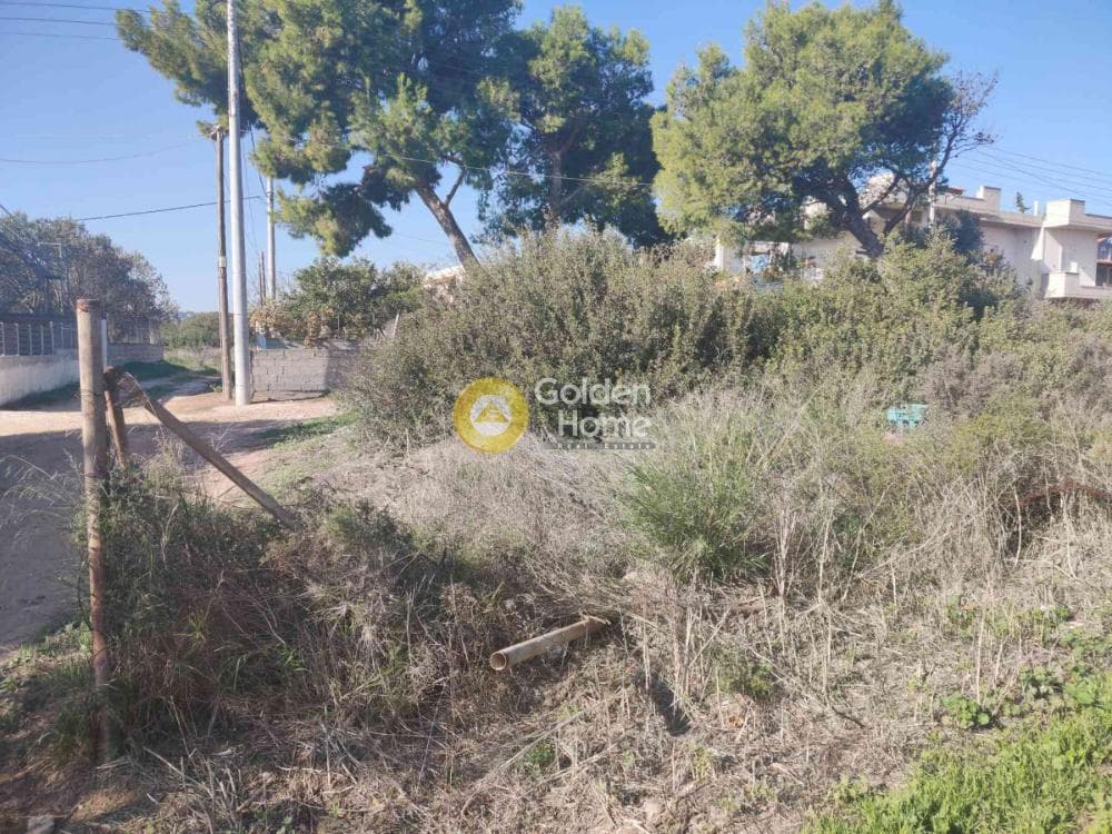Οικόπεδο στην Άγιος Σεραφείμ, Αρτέμιδα (Λούτσα) — Φωτογραφία 2 από 4