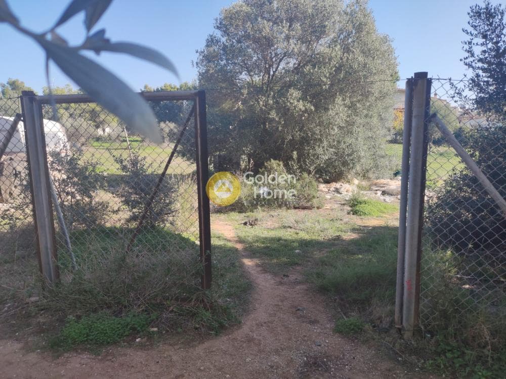 Οικόπεδο στην Άγιος Σεραφείμ, Αρτέμιδα (Λούτσα) — Φωτογραφία 4 από 4