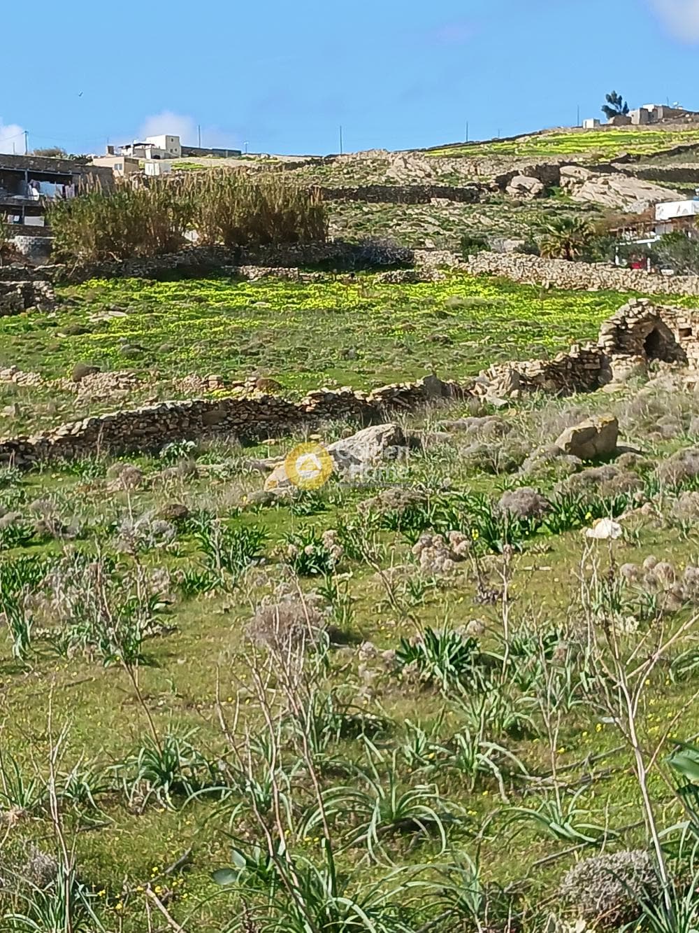 Αγροτεμάχιο στην Πάνορμος, Μύκονος — Φωτογραφία 5 από 10