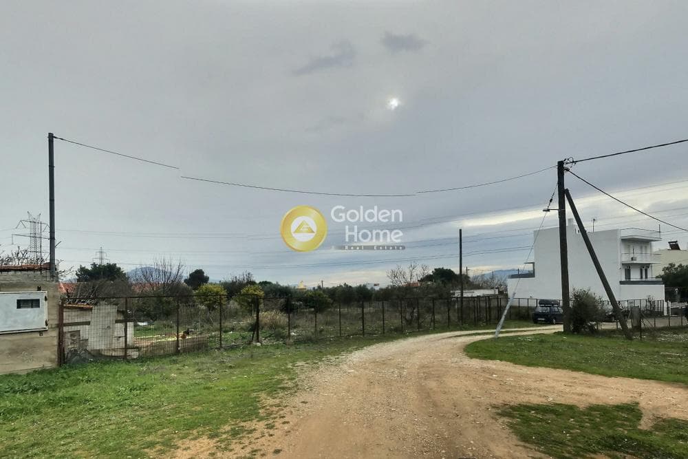 Αγροτεμάχιο στην Μεγάλα Σχοινία Α, Αχαρνές — Φωτογραφία 4 από 11