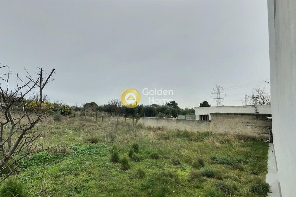 Αγροτεμάχιο στην Μεγάλα Σχοινία Α, Αχαρνές — Φωτογραφία 5 από 11