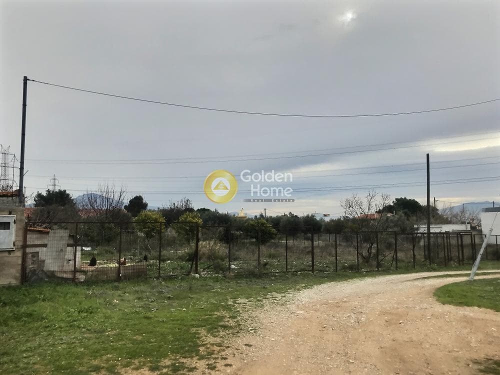 Αγροτεμάχιο στην Μεγάλα Σχοινία Α, Αχαρνές — Φωτογραφία 1 από 11